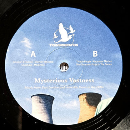 Jane Fitz - Mysterious Vastness (2xVINYL) |