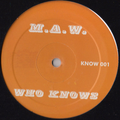 Masters At Work - Who Knows (12" VINYL) | Excellent+ (EX+) Generic