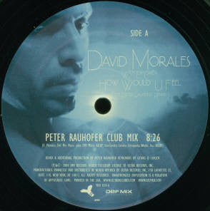 David Morales - How Would U Feel (The Peter Rauhofer Remixes) (12" VINYL) | Near Mint (NM) Near Mint (NM)