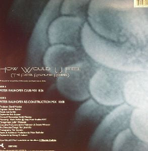 David Morales - How Would U Feel (The Peter Rauhofer Remixes) (12" VINYL) | Near Mint (NM) Near Mint (NM)