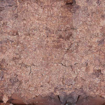 Consecration Of The Whipstain |