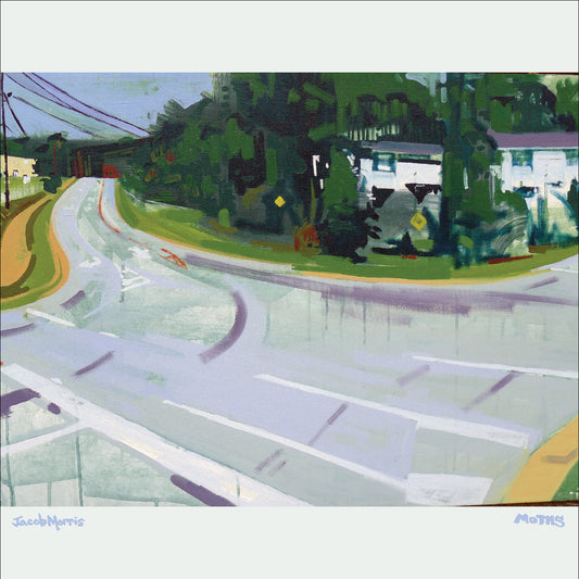 Moths (VINYL) | Mint (M) Mint (M)