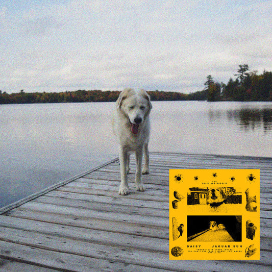 Jaguar Sun - Daisy (YELLOW VINYL) | Mint (M) Mint (M)