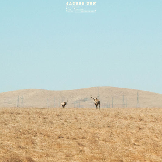 For You (Blue And Black Swirl Vinyl) |