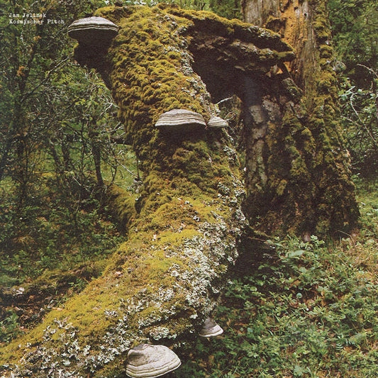 Jan Jelinek - Kosmischer Pitch (VINYL) |