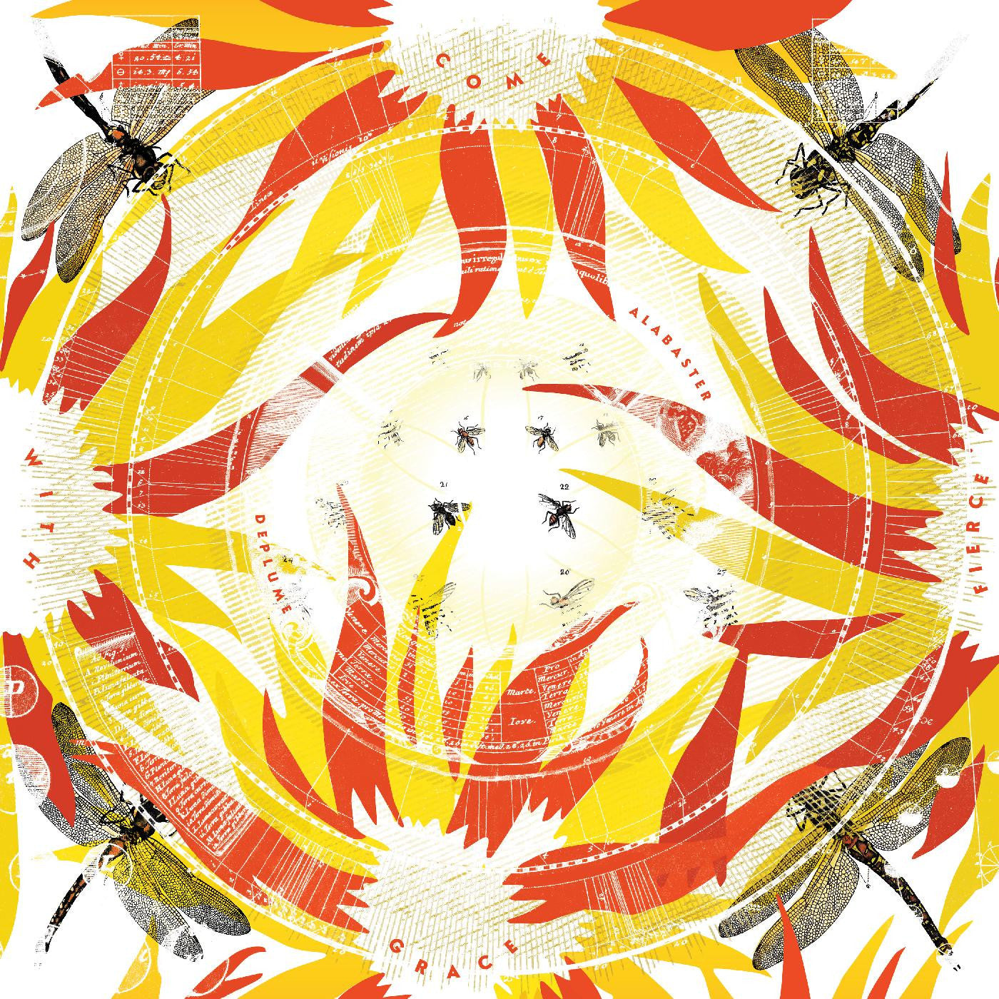 DePlume, Alabaster - Come With Fierce Grace |