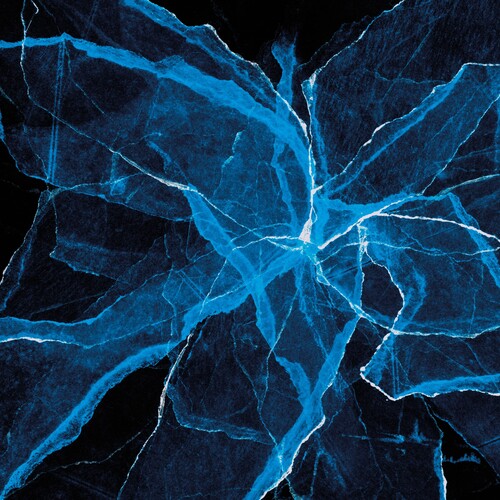Jason Moran - Shards (CLEAR VINYL) | Mint (M) Mint (M)