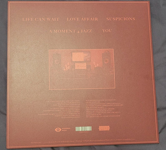 Larry Lovestein & The Velvet Revival - You (10" VINYL) | Mint (M) Mint (M)