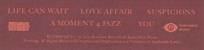 Larry Lovestein & The Velvet Revival - You (UNOFFICIAL CASSETTE) |