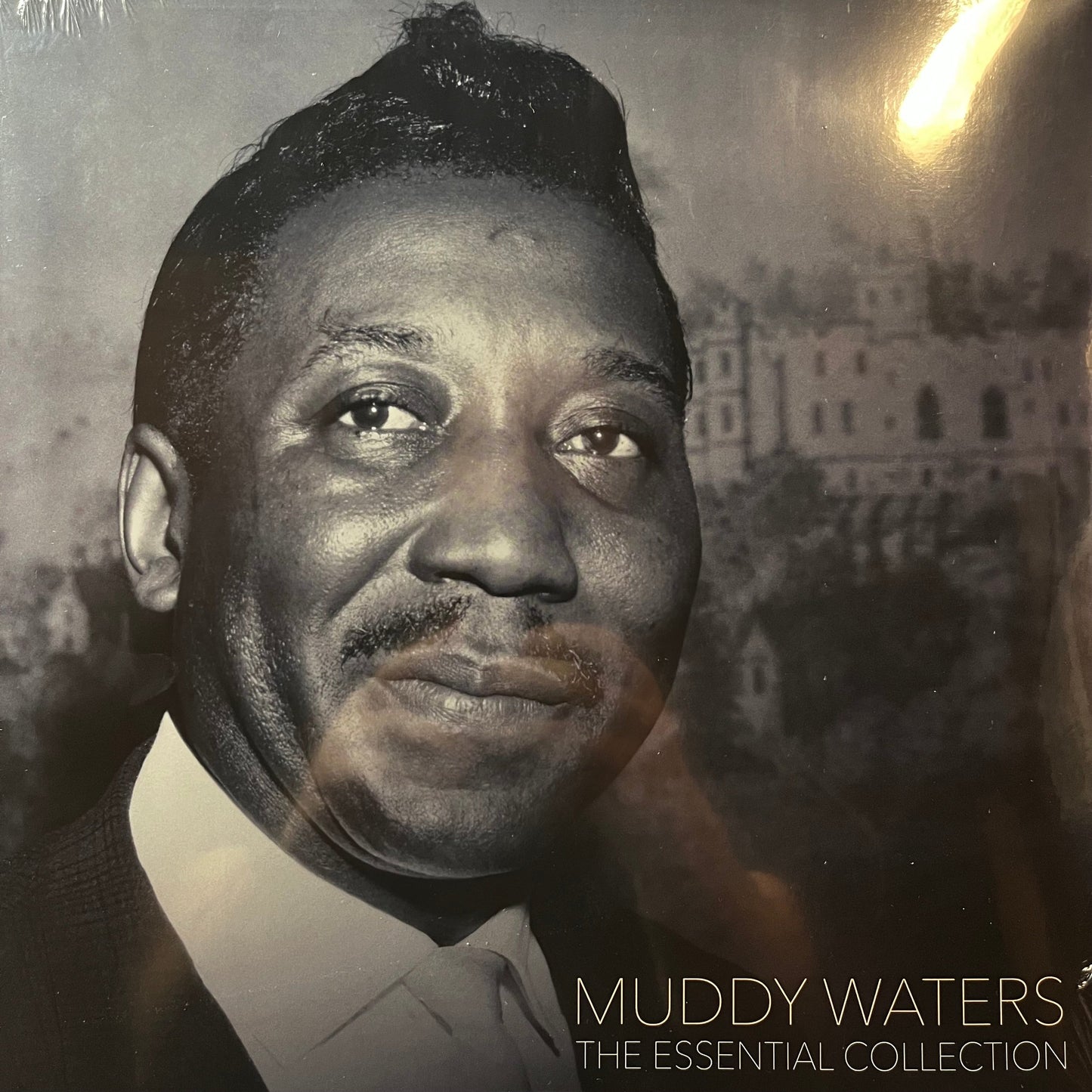 Muddy Waters - The Essential Collection (VINYL) |