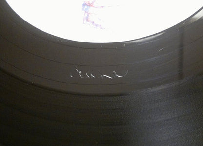 David Sanborn - As We Speak (VINYL) | Excellent (EX) Excellent+ (EX+)