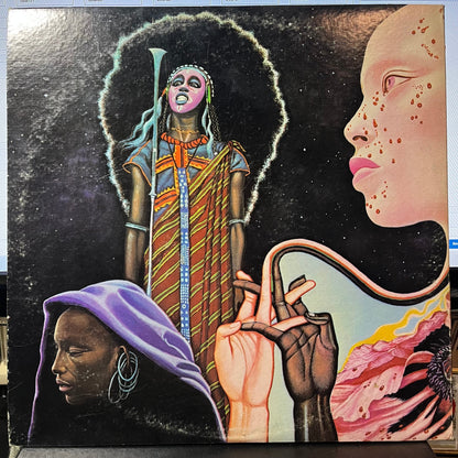 Miles Davis - Bitches Brew (2xVINYL) | Excellent (EX)