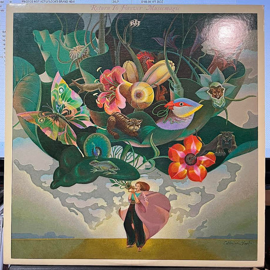 Musicmagic (VINYL) | Near Mint (NM) Near Mint (NM)