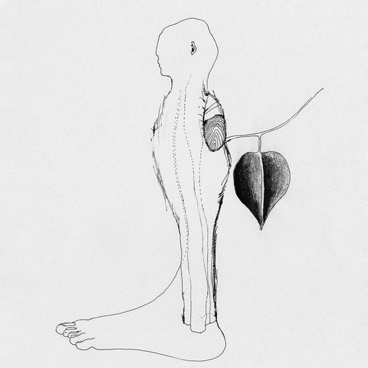 L'epaisseur de l'air |