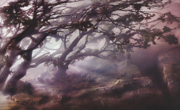 Divers | Mint (M) Mint (M)