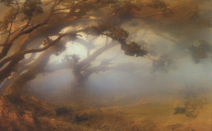 Divers | Mint (M) Mint (M)