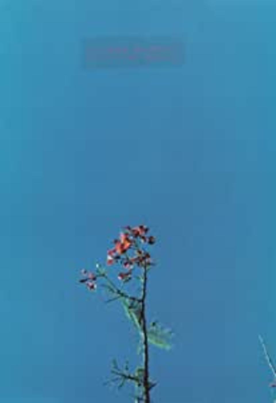 & THE YS STREET BAND EP |