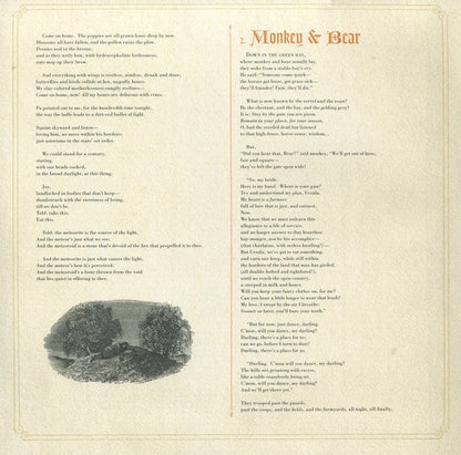 Joanna Newsom - Ys (2x VINYL) | Mint (M) Mint (M)