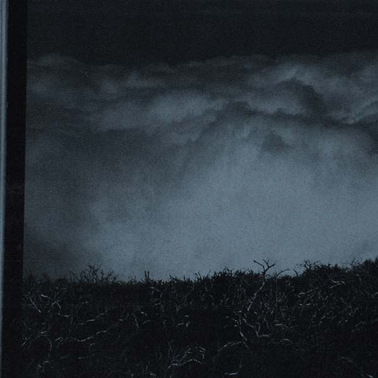 Beyond the Hypnosis |