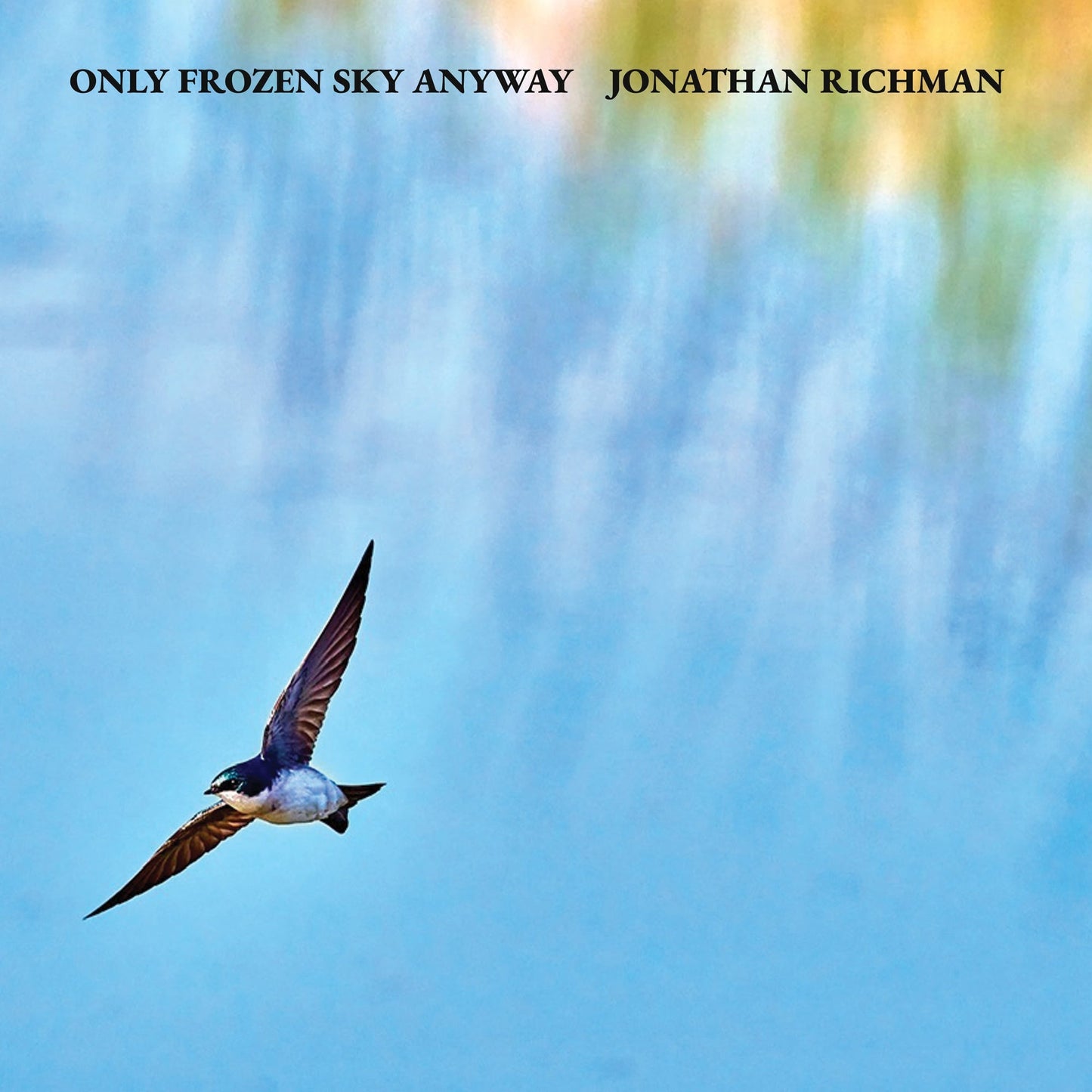 Jonathan Richman - Only Frozen Sky Anyway LP |