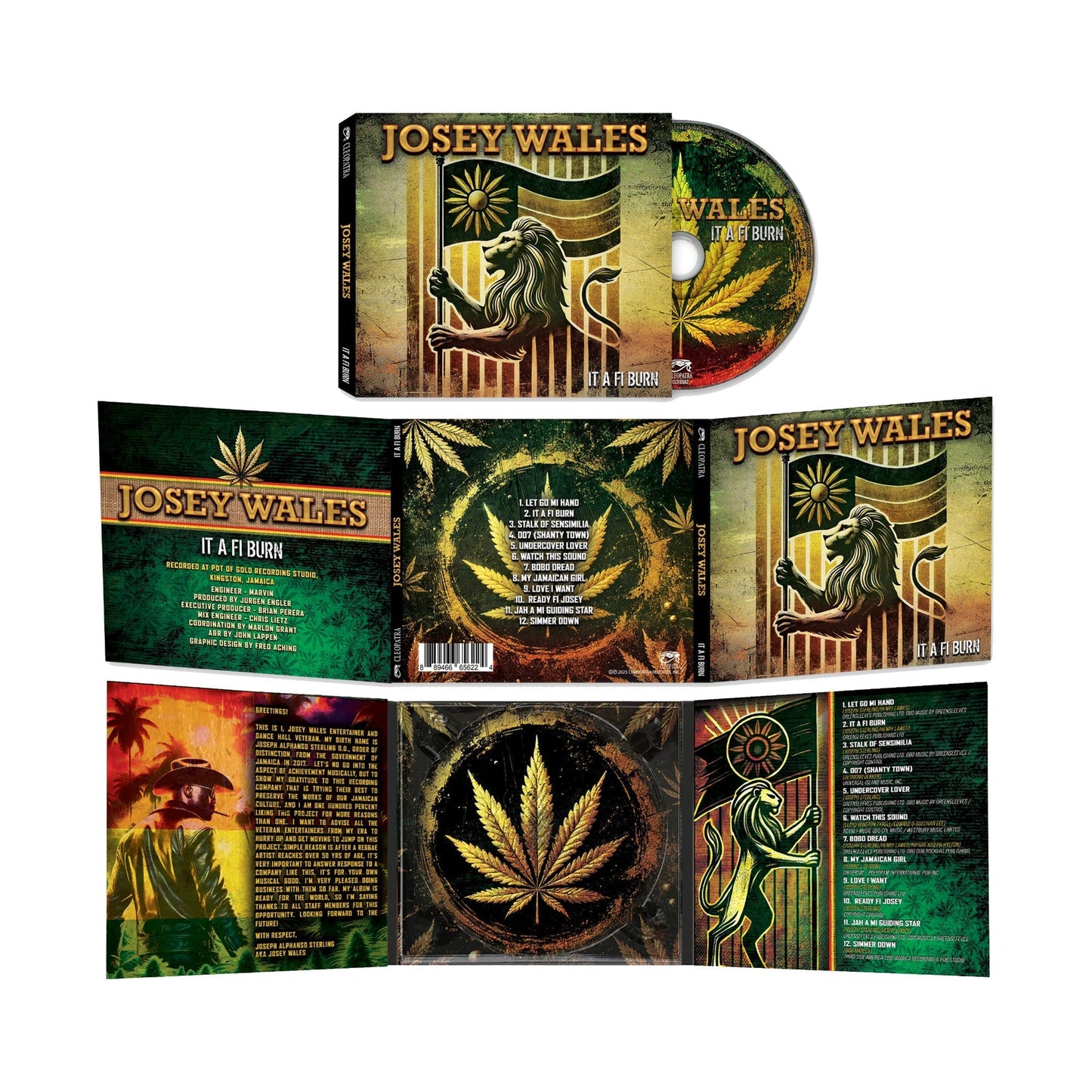 It A Fi Burn [CD] |