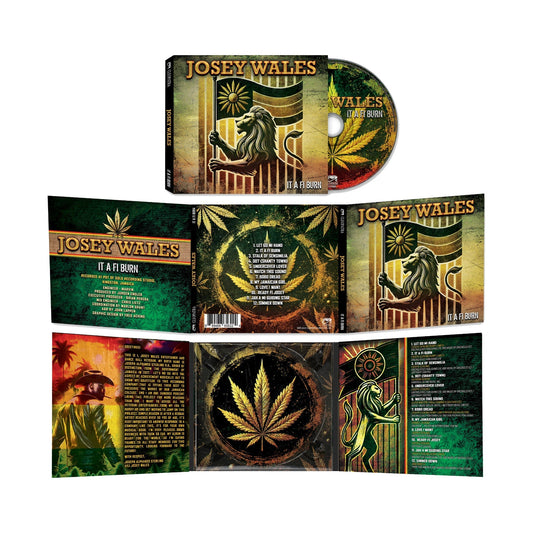 It A Fi Burn [CD] |
