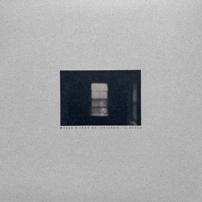 In Place Of Real Insight | Mint (M) Mint (M)