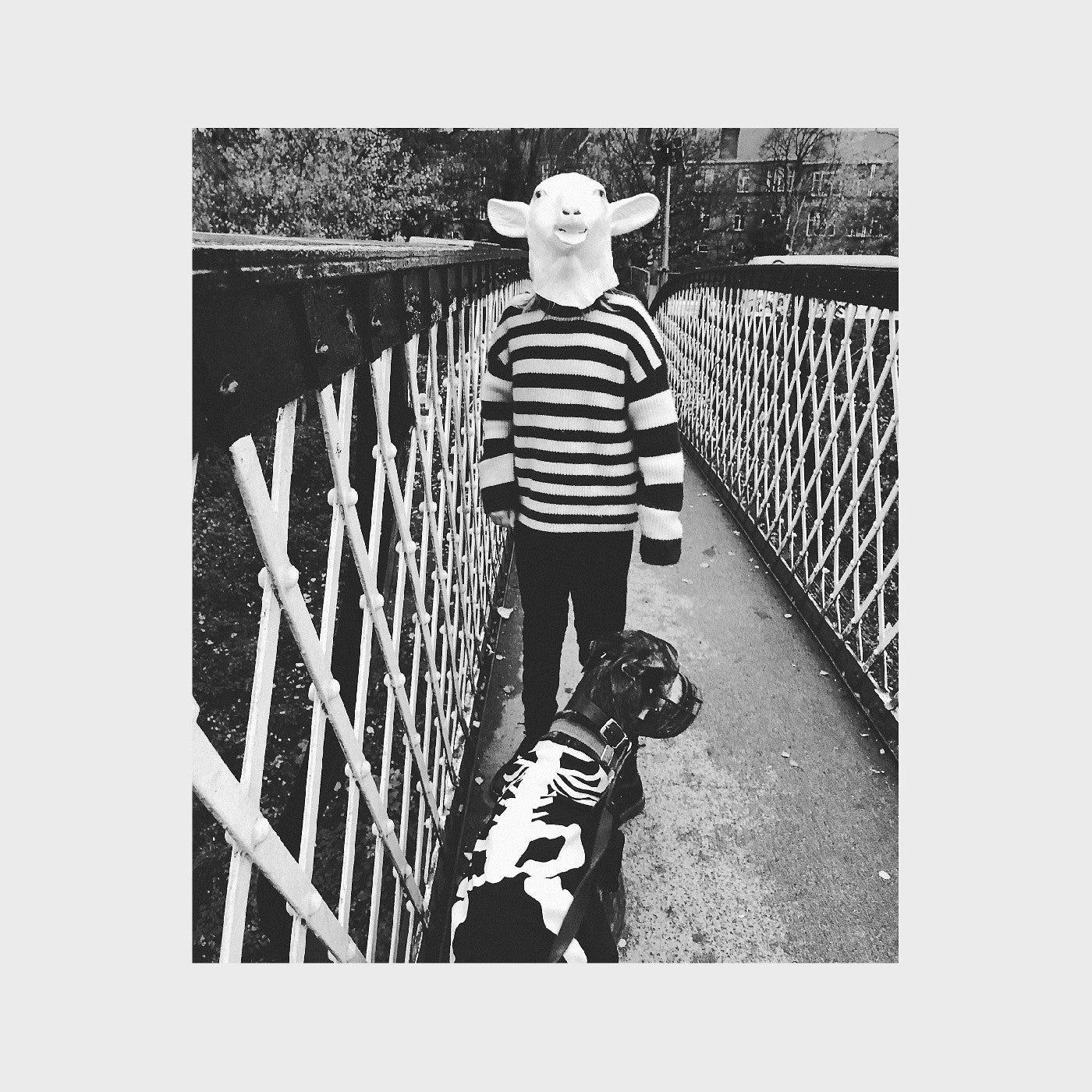 We Were Made Prey. (Red VINYL) | Mint (M)