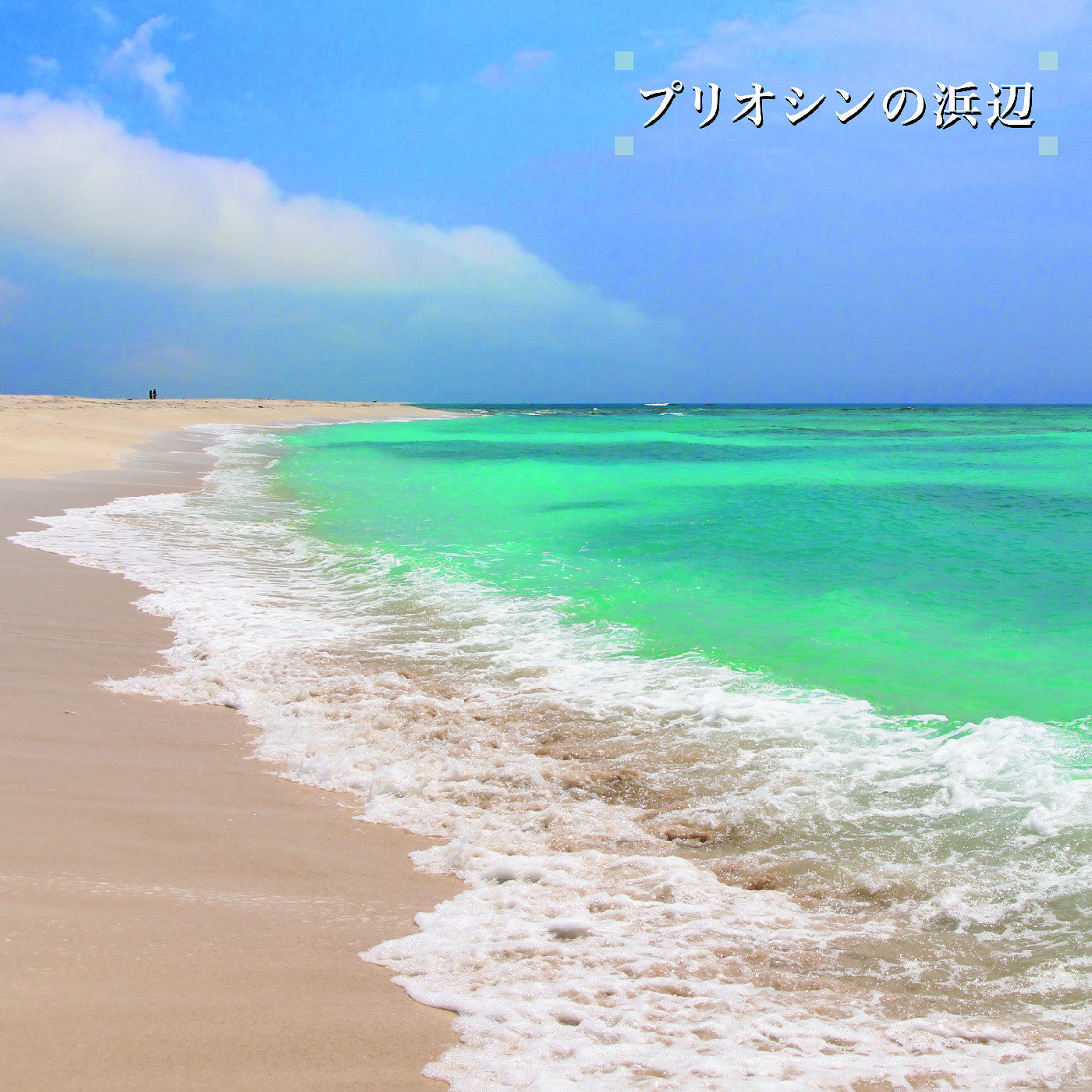 Beach Of The Pliocene (2xVINYL) | Mint (M) Mint (M)