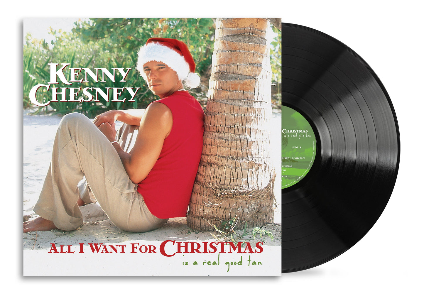 All I Want For Christmas Is A Real Good Tan (VINYL) | Mint (M) Mint (M)