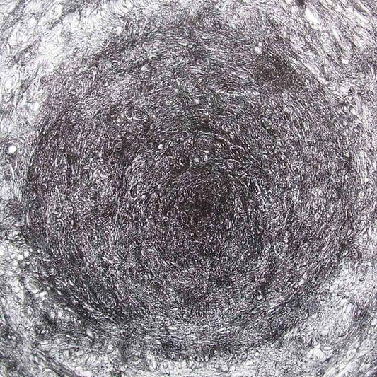 The Back Room [Import] (VINYL) | Mint (M) Mint (M)