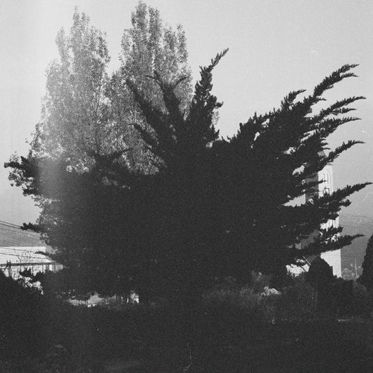 Murur al-Kiram [Import] | Mint (M) Mint (M)