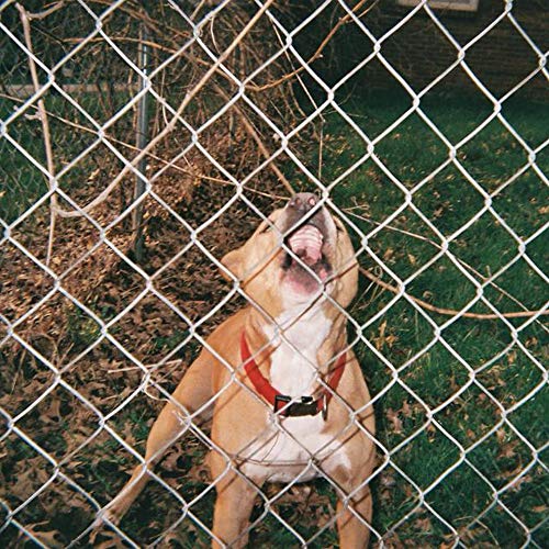 Pop Culture [Beer & Bone W/ Evergreen Splatter Vinyl] |