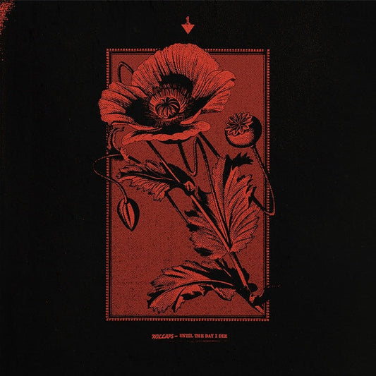 Until The Day I Die |