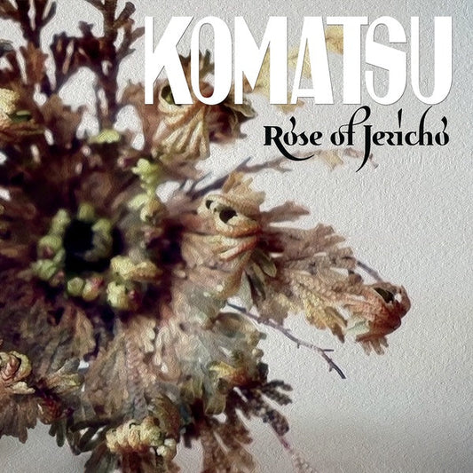 Rose Of Jericho (Transparent Splatter Purple/Green Vinyl) |