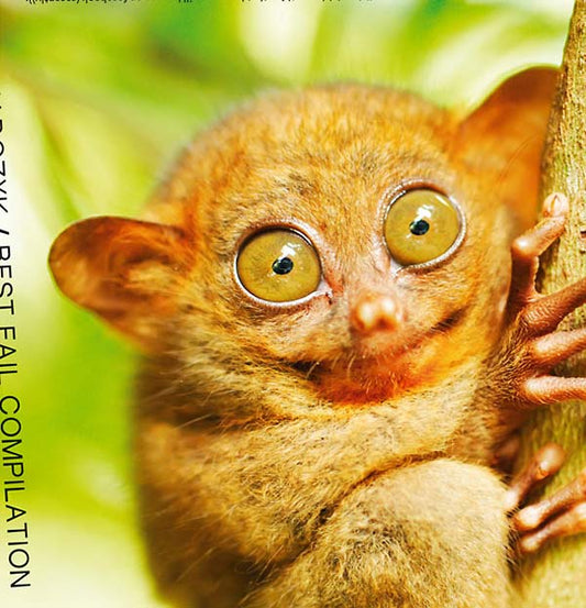 Best Fail Compilation |