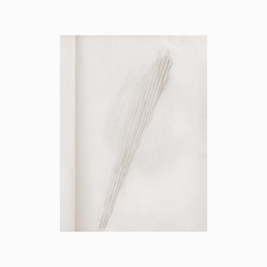 A Mirror Holds The Sky |