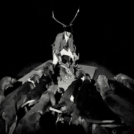 A Night Full Of Collapses |