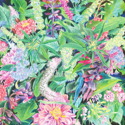 The Rising Wave | Mint (M) Mint (M)