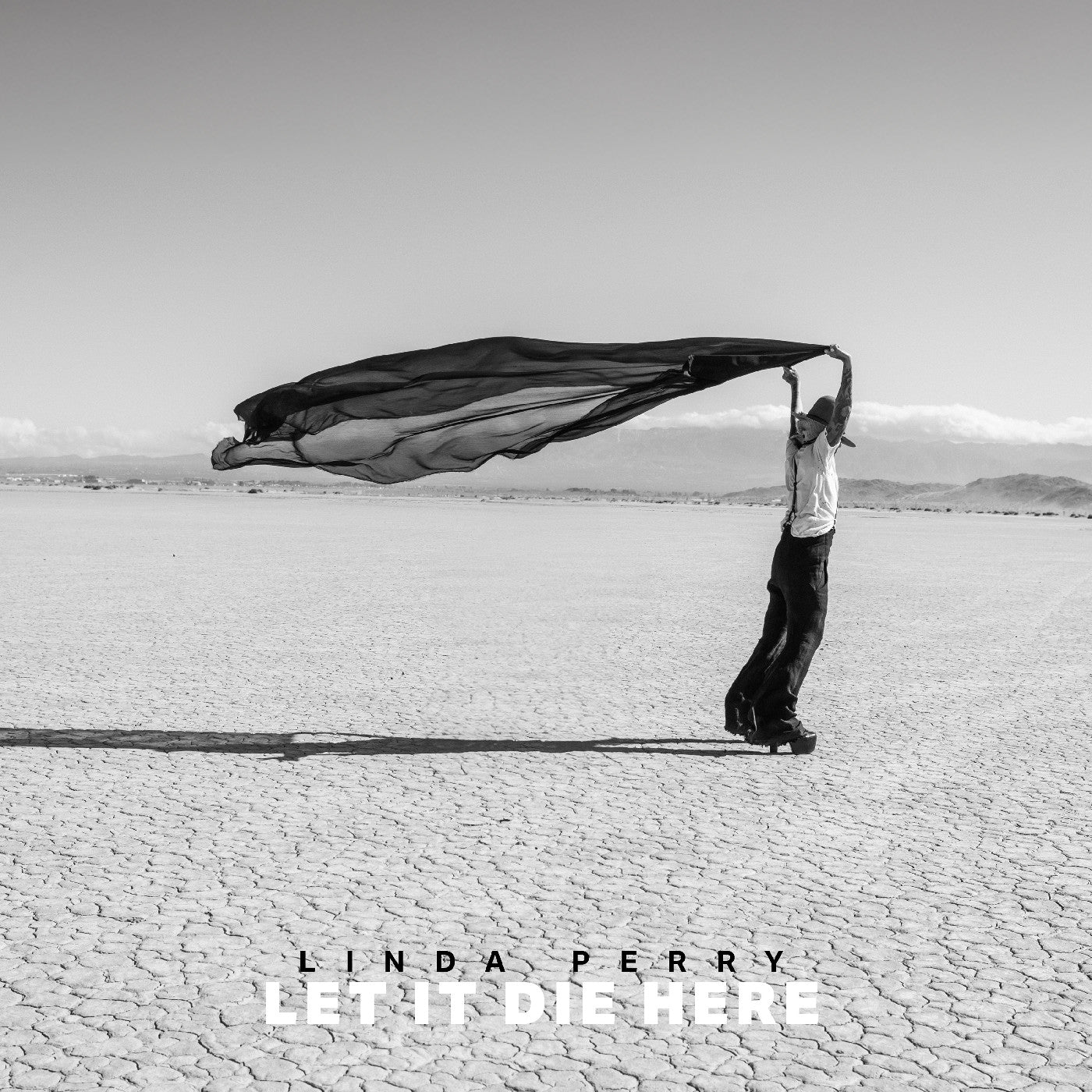 Linda Perry - Let It Die Here (Desert Glass 2xVINYL) | Mint (M) Mint (M)