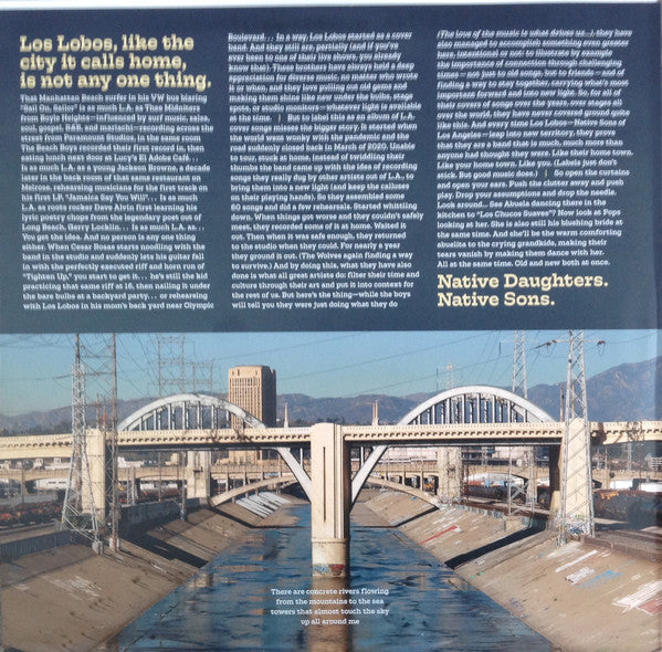 Native Sons | Mint (M) Mint (M)