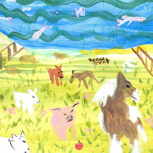 Into A Pretty Room (Hazy Green Between Clear VINYL) | Mint (M) Mint (M)