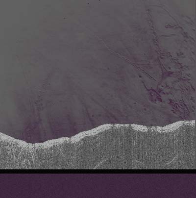 Apophenia [Import] | Mint (M) Mint (M)