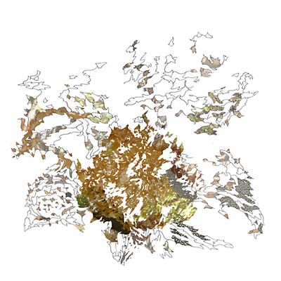 Red Anxiety Tracers |