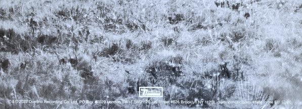 Emotional Eternal | Mint (M) Mint (M)