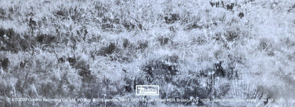 Emotional Eternal | Mint (M) Mint (M)