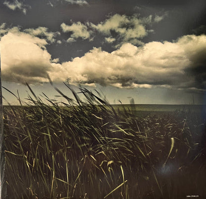 All Hope Is Gone (ORANGE VINYL) | Mint (M) Mint (M)