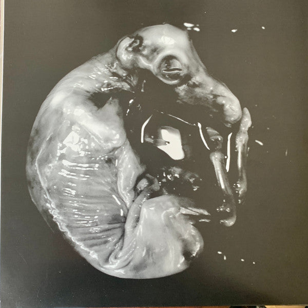 Iowa (GREEN TRANSLUCENT VINYL) | Mint (M) Mint (M)