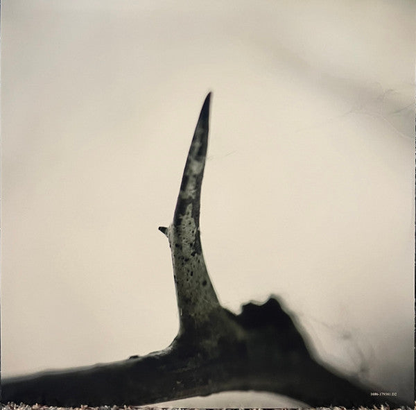 All Hope Is Gone (ORANGE VINYL) | Mint (M) Mint (M)