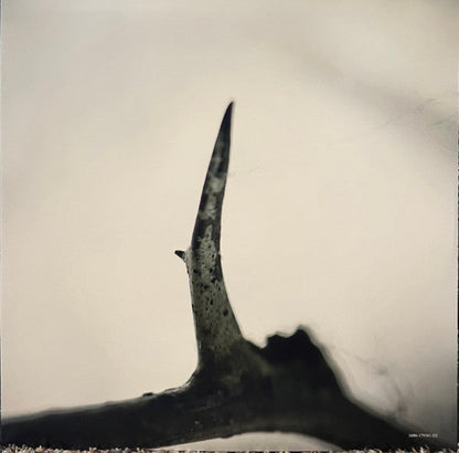 All Hope Is Gone (ORANGE VINYL) | Mint (M) Mint (M)